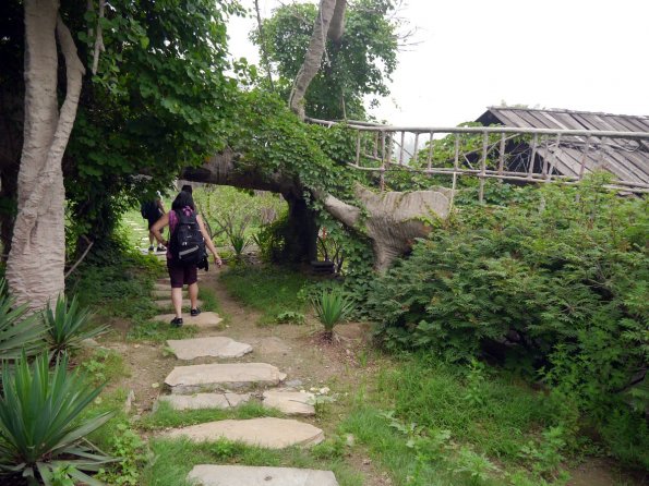 di_20130629_234616_chineseethnicmuseum_jino_trees