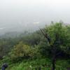 di_20130701_004550_greatwallbadaling_forest_view