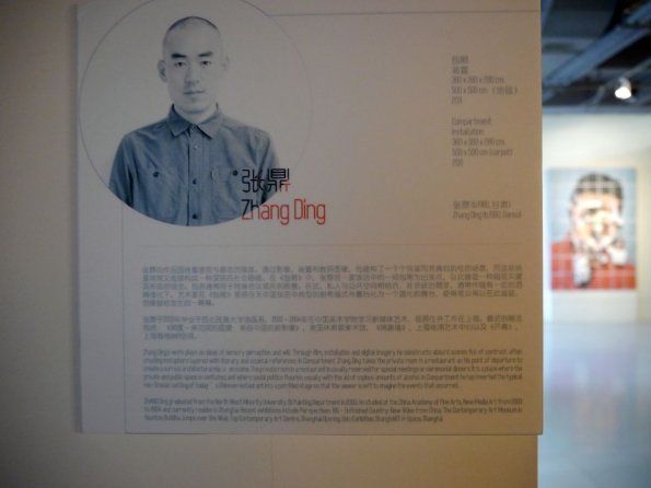 di_20130706_010504_shanghai_museumofcontemporaryart_zhangding_2011_compartment_sign