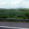 di_20130710_221510_jiangmen_g15_shenhaiexpressway_farm_fields