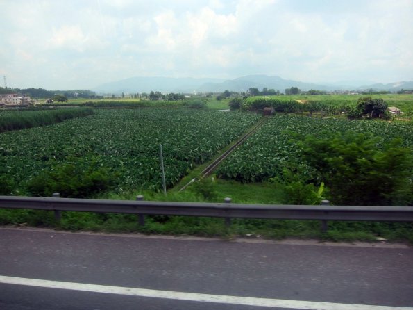 di_20130710_221510_jiangmen_g15_shenhaiexpressway_farm_fields