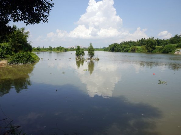 di_20130711_013640_lougang_zhenhairiver_view_southeast