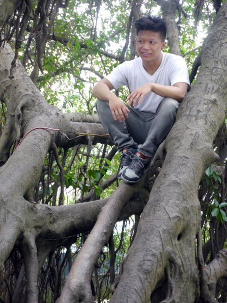 di_20130719_233520_hanoi_jadeisland_mangrove_tree_npi