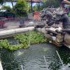 di_20130721_234206_hochiminhcity_cholon_binhthaymarket_fountain_dragon_waterlilies