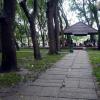 di_20130723_024522_hochiminhcity_park_near__phudongthienvuongmemorial
