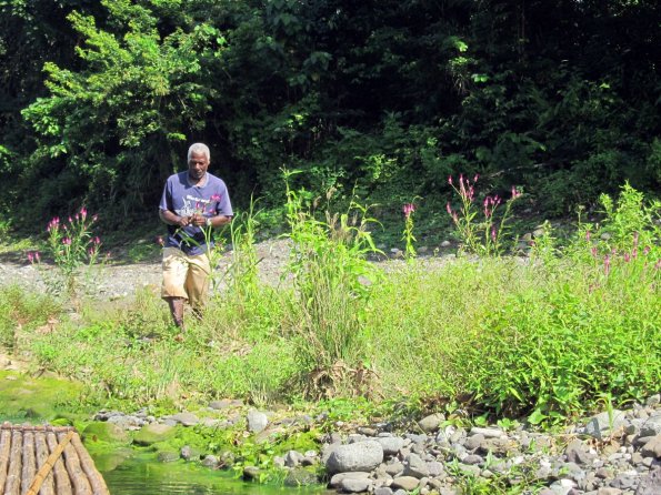 di_20131109_131836_riogranderafting_flower_picking