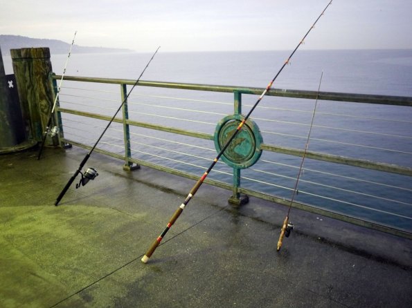 di_20140126_094028_redondobeachpier_sw_pier_rods