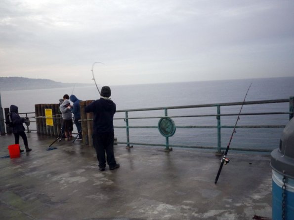 di_20140126_094208_redondobeachpier_sw_pier_rod_bent