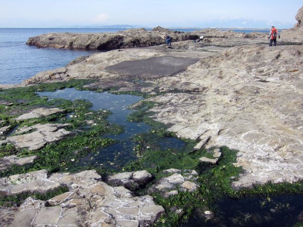 di_20140218_205644_enoshimaisland_south_shore_pools