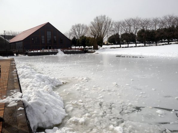 di_20140219_210016_eishinhigashino_lake_gymnasium_from_bridge