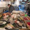 di_20140220_185726_tsukijimarket_whole_fish