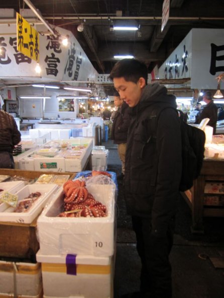 di_20140220_185800_tsukijimarket_octopi_rdi