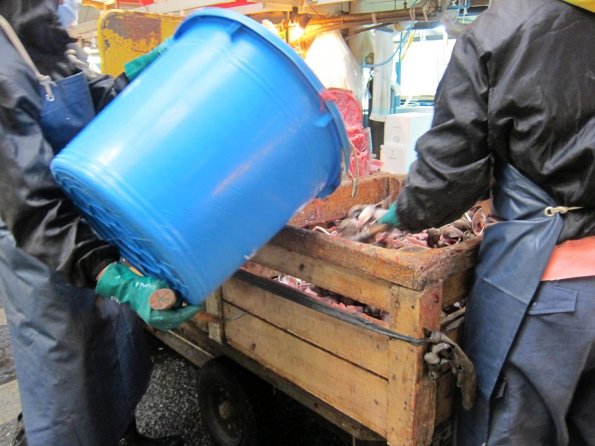 di_20140220_190958_tsukijimarket_seafood_waste_bucket