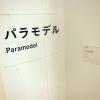 di_20140220_215506_yasuhikohayashi_yusukenakano_paramodel_2014_museumofcontemporarayarttokyo_howtomakeaparamodel_sign