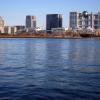 di_20140222_020402_suijo_waterbus_view_south_odaiba_towers
