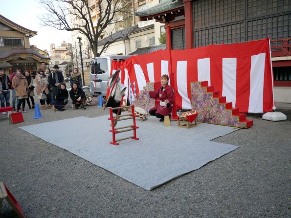 di_20140222_030516_asakusa_monkey_hurdles_trainer