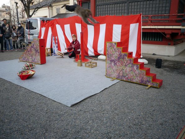 di_20140222_031054_asakusa_monkey_steps_span_leap_trainer