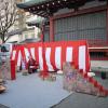 di_20140222_031108_asakusa_monkey_polesitting_trainer