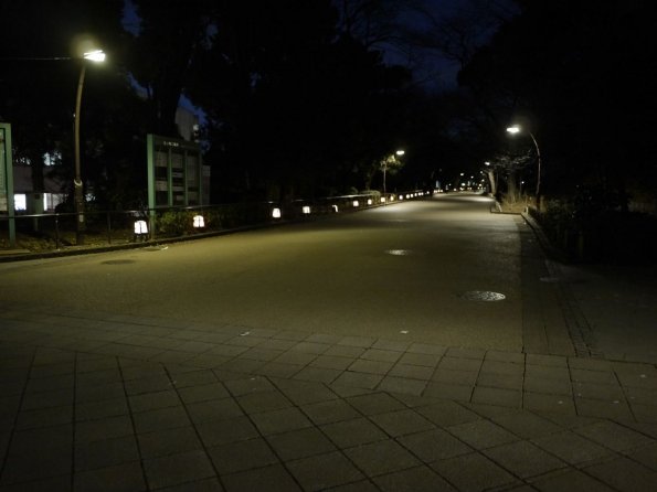 di_20140222_040706_uenopark_entry_dark