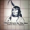 20140520_100136_aktalakotamuseum_chiefstruckbytheree