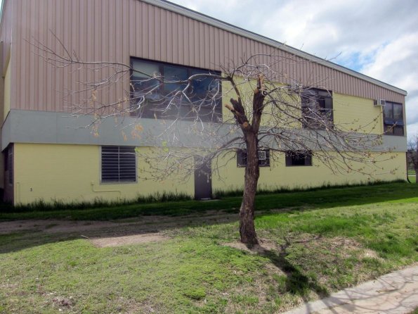 20140521_155311_redcloudindianschool_topless_tree