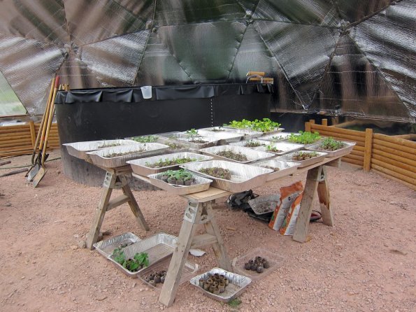 20140521_160642_redcloudindianschool_greenhouse_sprouts