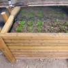 20140521_160719_redcloudindianschool_greenhouse_sprout_box