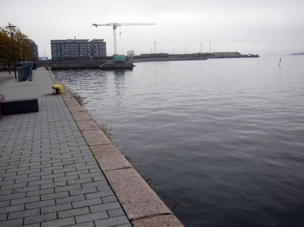 di_20141012_063618_ruoholahti_tammasarrenranta