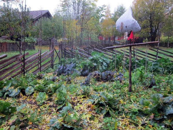 di_20141018_060123_norskfolkmuseum_garden