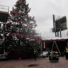 di_20141125_144925_distillerydistrict_christmas_tree_installation