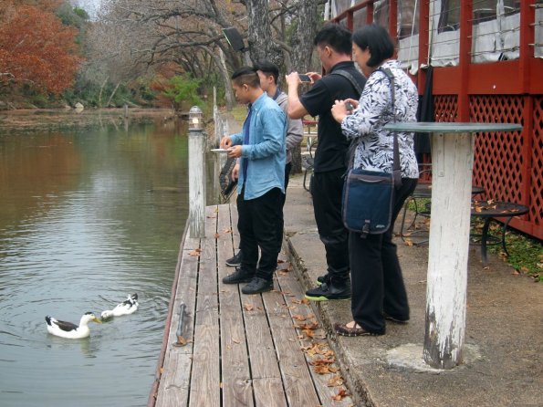 di_20141204_150945_austin_countylinebbq_lake_ducks