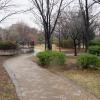 di_20150226_001311_kibapark_uebangreeningbotanicalgarden