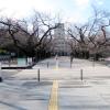 di_20150226_192432_ookayama_tokyotech_main_building