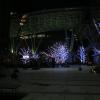 di_20150228_075317_roppongi_tokyomidtown_lit_trees