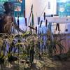 201503a-Kyoto-FushimiSakeMuseum