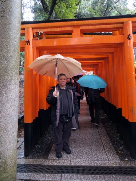 di_20150301_014029_fushimi_inarishrine_senbontorii_di