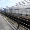 di_20150301_224743_osakaprefectureu_nakamozu_greenhouses