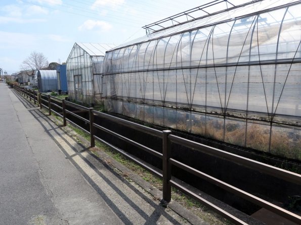 di_20150301_224743_osakaprefectureu_nakamozu_greenhouses