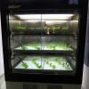 di_20150301_225727_osakaprefectureu_nakamozu_randdcenterfortheplant_factory_sprouts