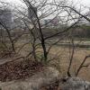 di_20150303_012637_osakagardenpark_tamatsukuri-guchi_view_east_forestofmemorialtrees