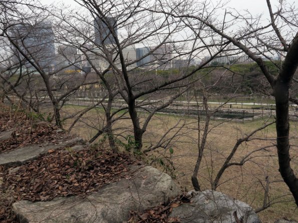 di_20150303_012637_osakagardenpark_tamatsukuri-guchi_view_east_forestofmemorialtrees