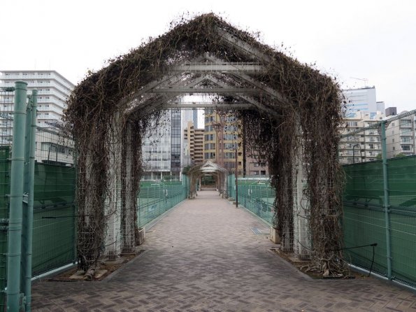 di_20150303_023858_osaka_utsubopark_tennis_lane_trellises