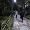 di_20150304_052630_kabukicho_shikinomichi_fourseasonspath