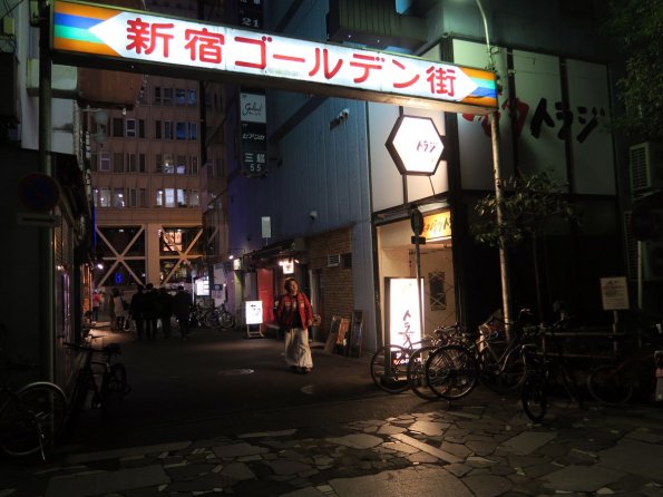 di_20150304_053230_kabukicho_goldengai_gate_garland