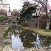 di_20150305_184631_kikuicho_kansuji_temple_pond