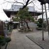 di_20150305_185108_kikiucho_raigoji_temple_trees