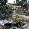 di_20150305_185228_kikiucho_raigoji_temple_pond_carp