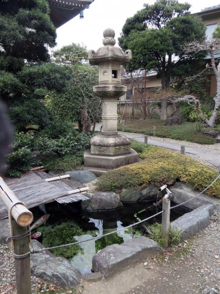 di_20150305_185228_kikiucho_raigoji_temple_pond_carp