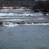 di_20150320_120856_niagarafallsstatepark_goatislandbridge_rapids_east