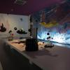 di_20150924_105332_m_hka_contemporary_art_antwerp_6th_floor_lodgers_beaster_akt2_art_installation